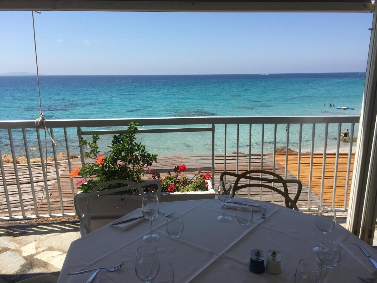 Ajaccio Magnifique T2 45m2 Neuf 5 Personnes Clim Wifi Stationnement Gratuit Centre A 300m * Ajaccio (Corsica)