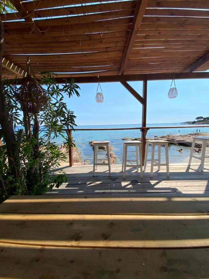Ajaccio Magnifique T2 45m2 Neuf 5 Personnes Clim Wifi Stationnement Gratuit Centre A 300m Apartment *
