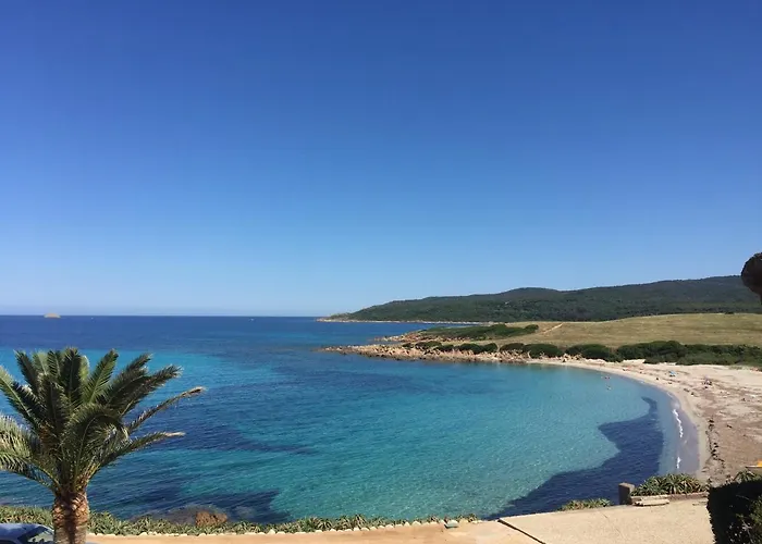 Ajaccio Magnifique T2 45m2 neuf 5 personnes Clim wifi stationnement gratuit centre ville plage à 300m
