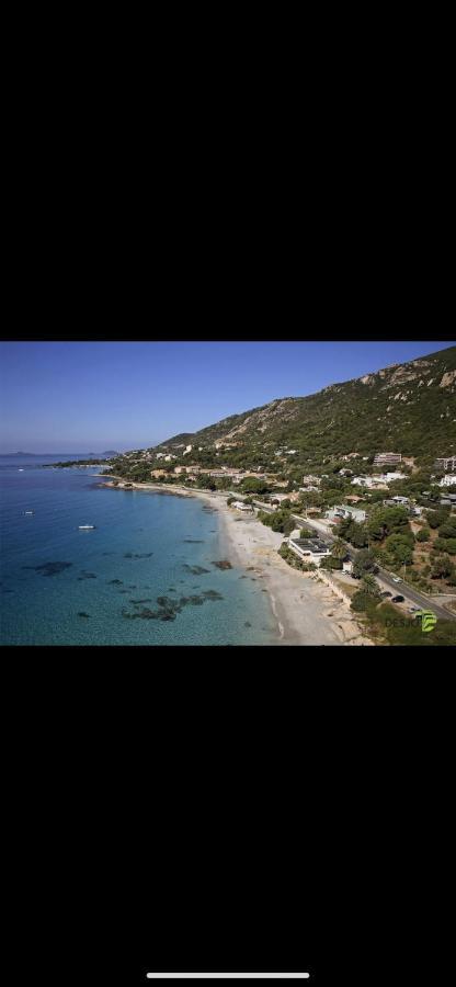 Ajaccio Magnifique T2 45m2 Neuf 5 Personnes Clim Wifi Stationnement Gratuit Centre A 300m Apartment *